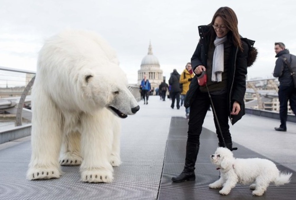 Polar Bear Faux Fur Fabric Per Meter, Faux Fur Polar Bear Rug