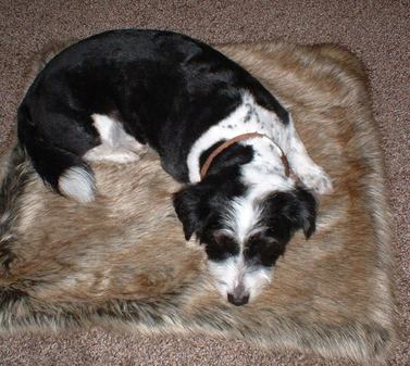 Husky Faux Fur Pet Blankets