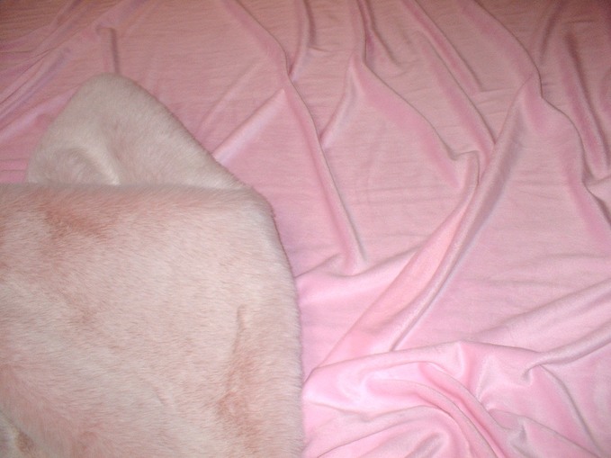 Pink Cuddle Soft Velboa Swatch
