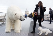 Polar Bear Faux Fur Fabric Per Meter