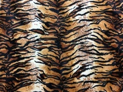 Tiger Animal Print Swatch